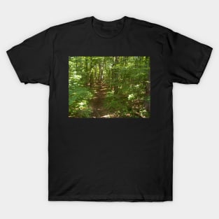 forest trail T-Shirt